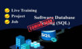software_SQL